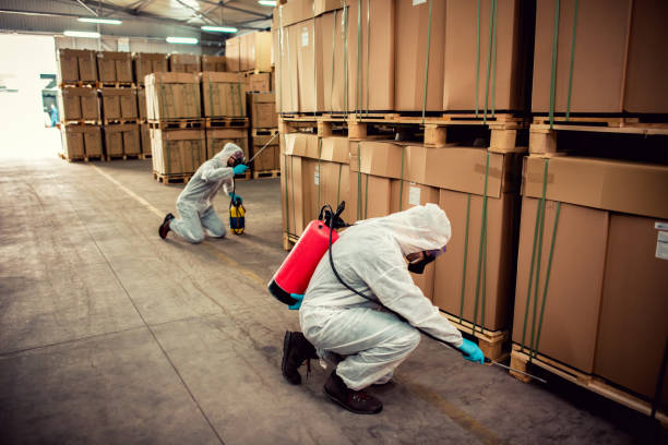 Best Mosquito Control Services  in Plandome, NY