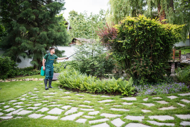 Best Pest Removal Services  in Plandome, NY