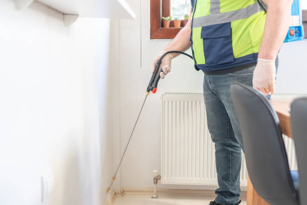 Best Flea Control Services  in Plandome, NY