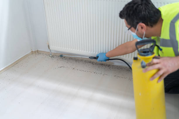 Best Affordable Pest Control Services  in Plandome, NY